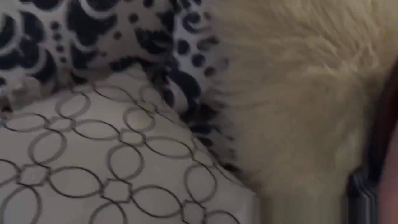 Redhead teen 18+ stepdaughter