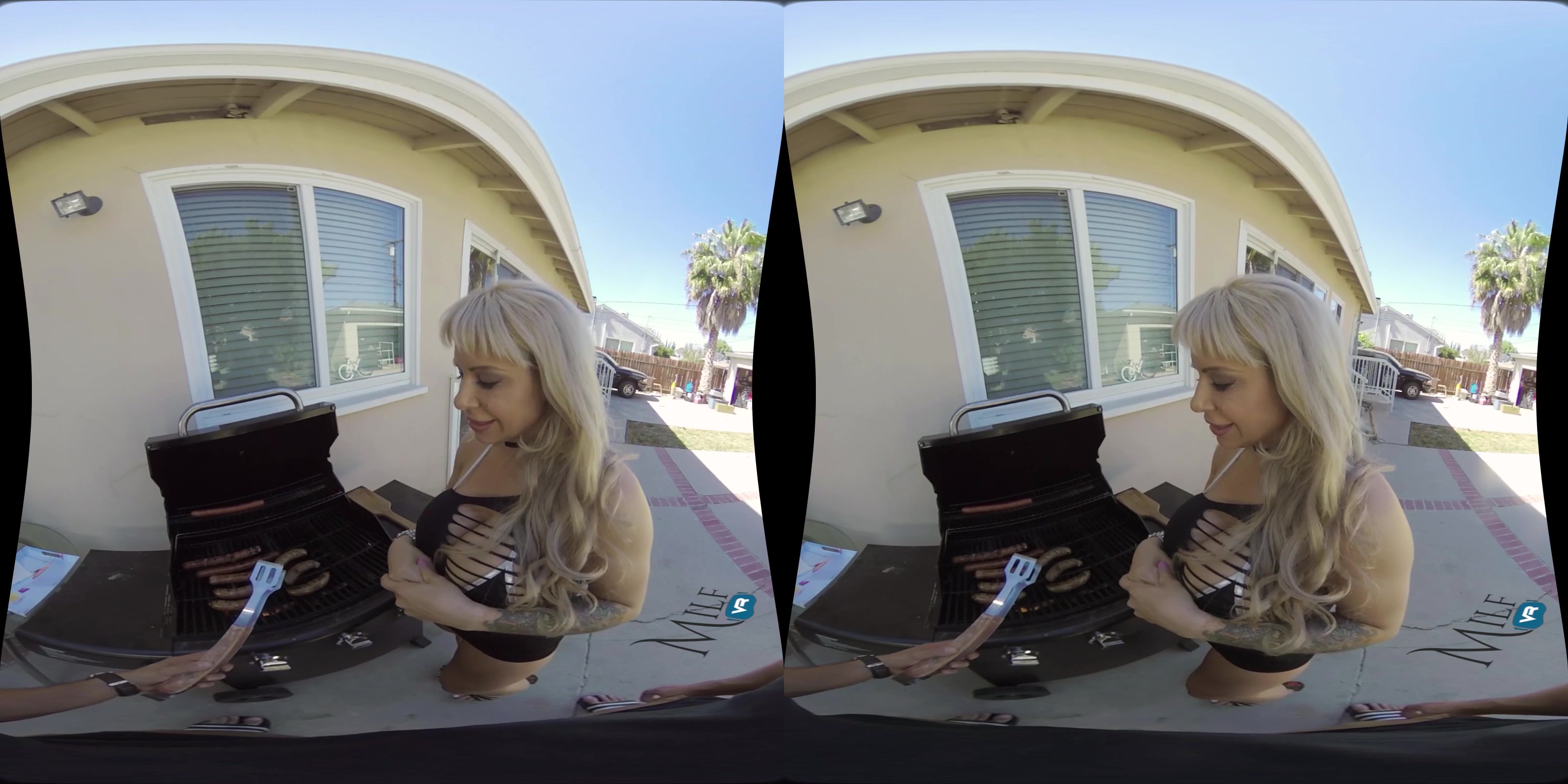 MilfVR - The BBQ