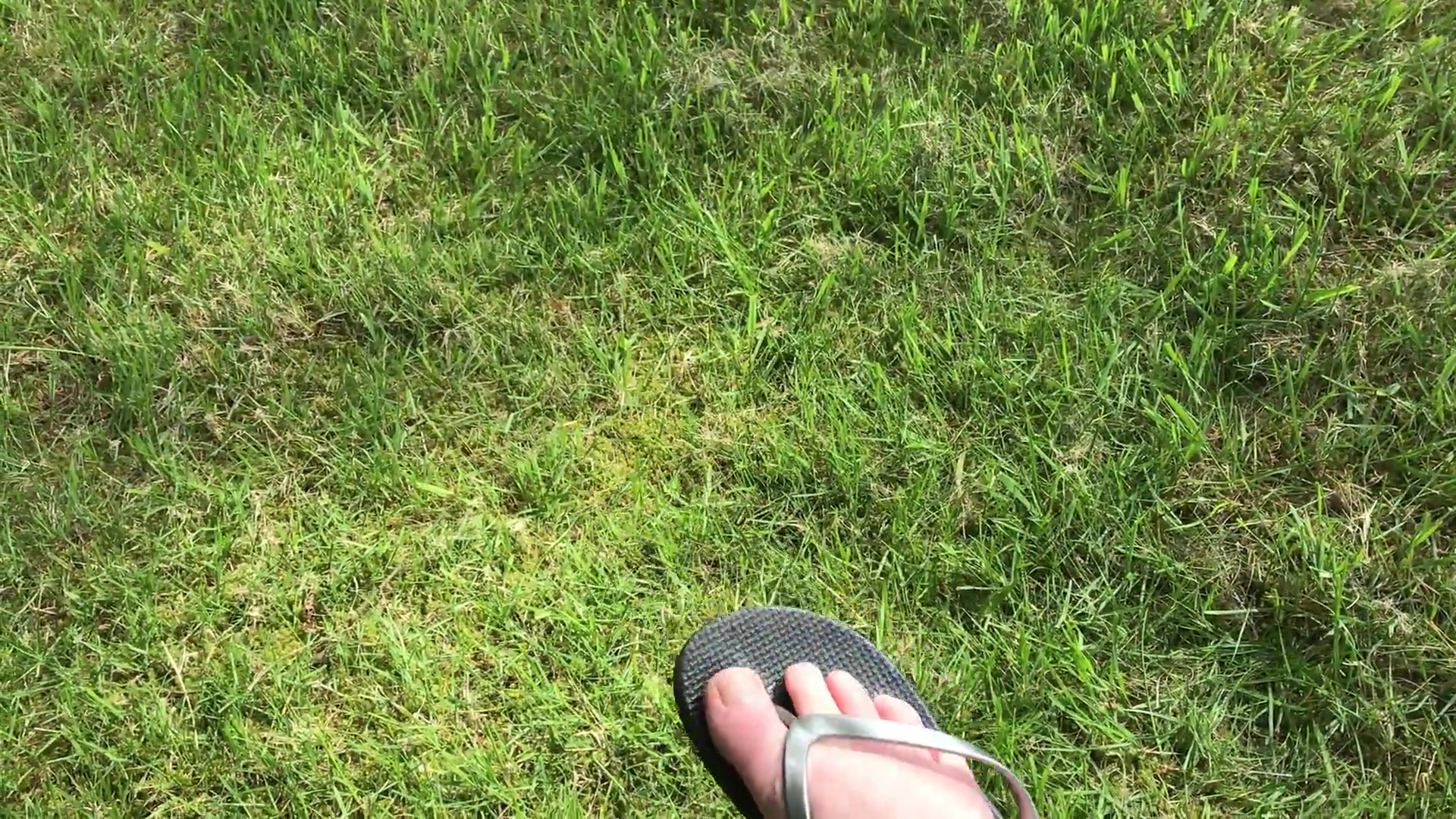 Bare Feet In Flip Flops - TacAmateurs