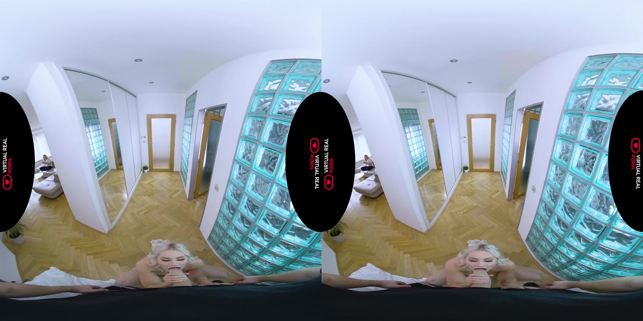 The Roommate - VirtualRealPorn