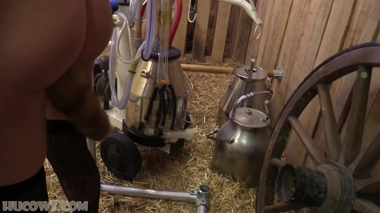 Big Tits Blonde Milked Hucow Bdsm