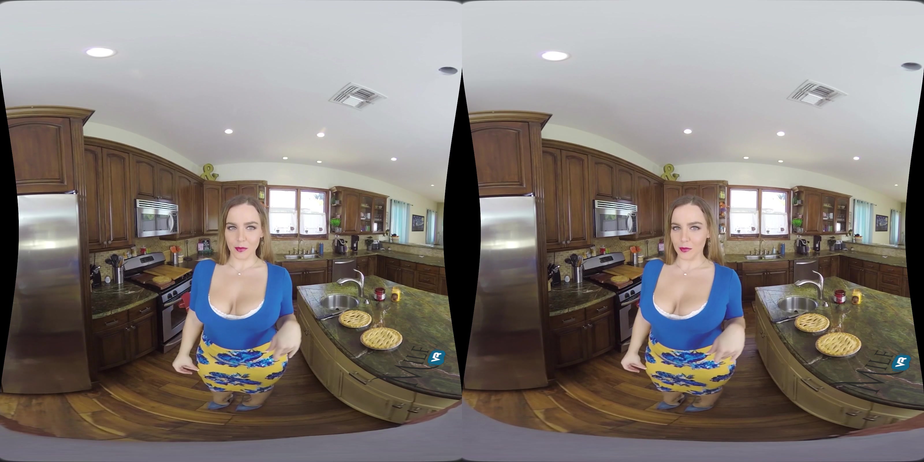 MilfVR - American Pie
