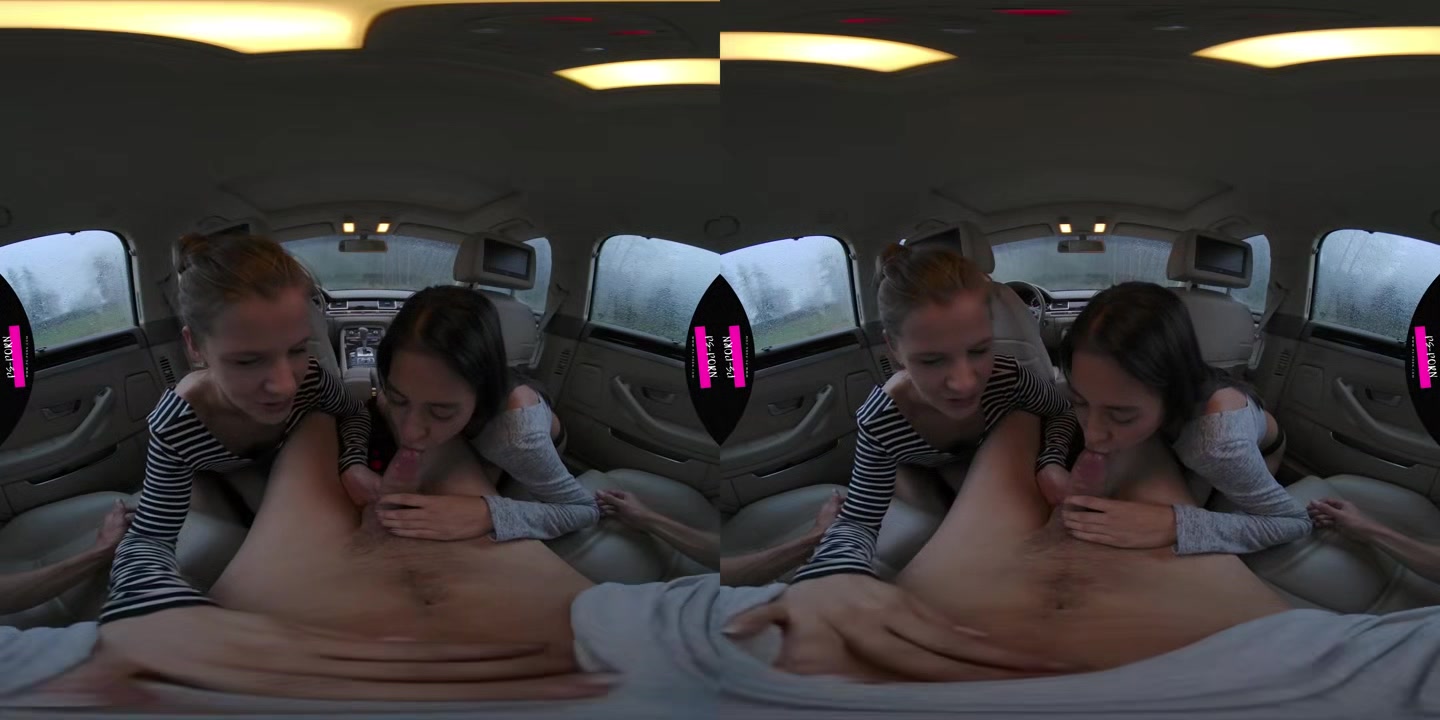 Sex In The Car Compilation - PS-Porn