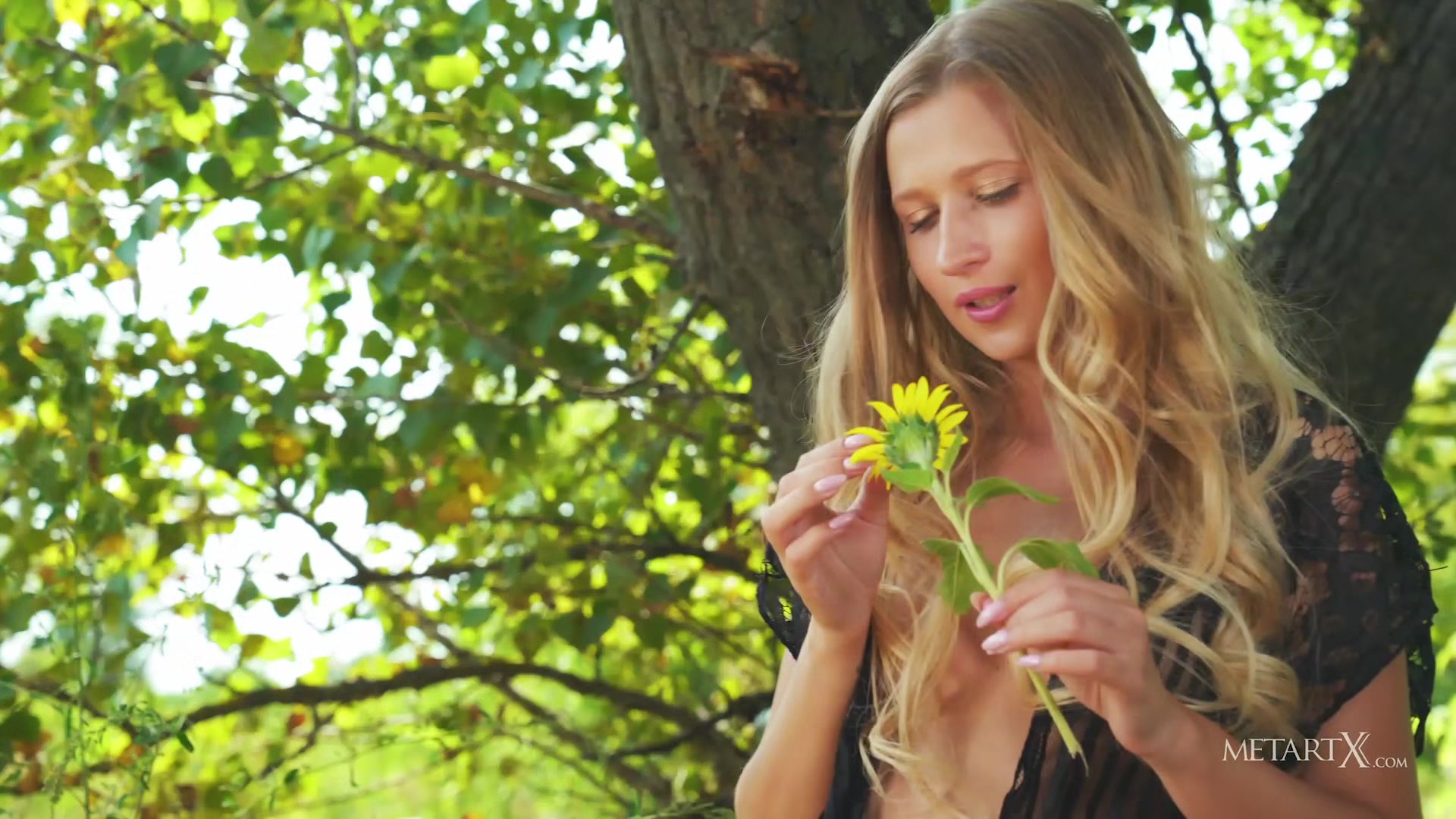 He Loves Me He Loves Me Not - Lisa Dawn - MetartX