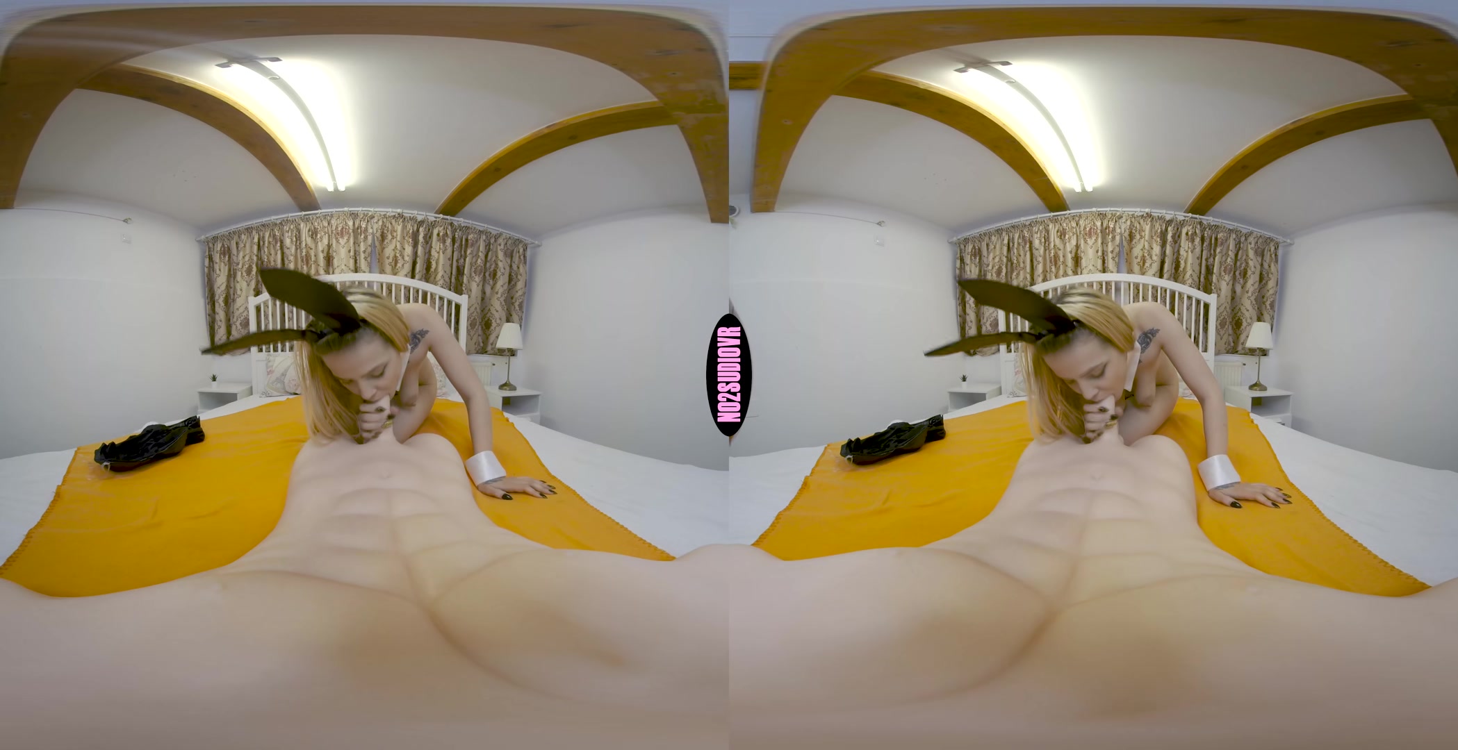 Horny Bunny - No2StudioVR