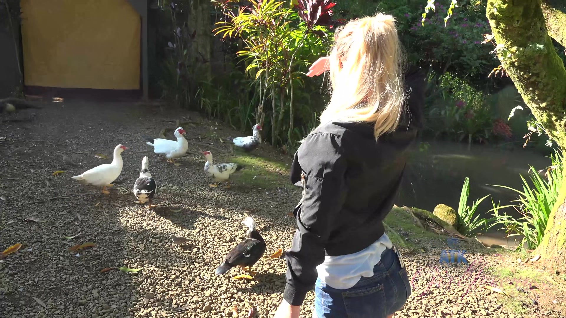 Virtual Vacation In Hawaii With Bailey Brooke Part 7