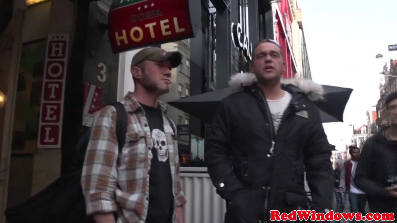 Brunette dutch hooker banged by tourist