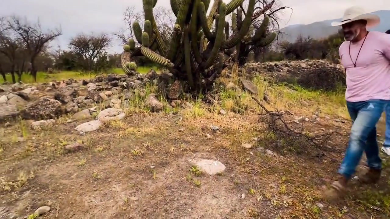 Un Viaje Caliente