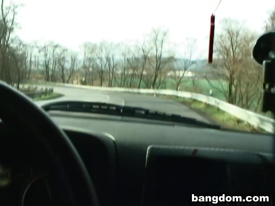 Roadside Doggy