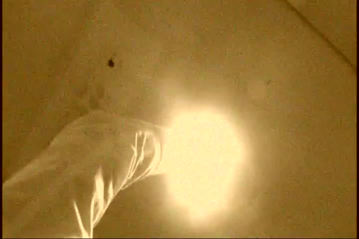 Amateur Japanese Movie