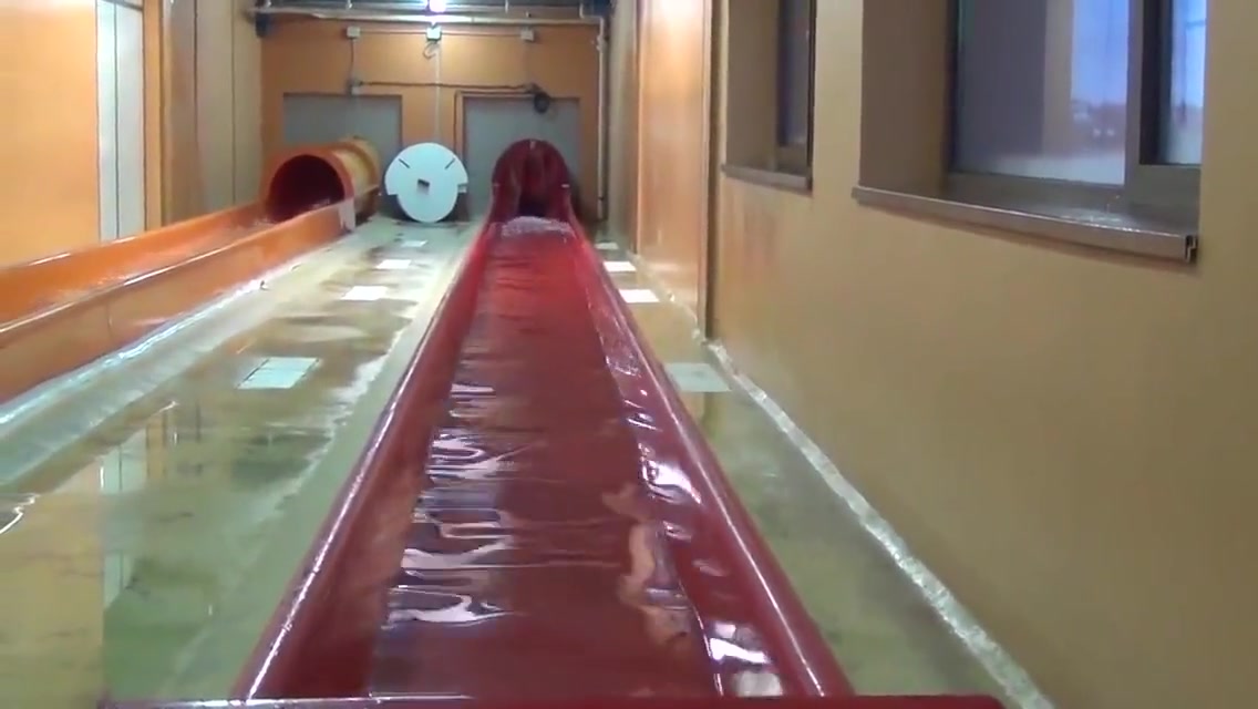 Sexy Cutie Hot Couple Porn Scenes In The Aqua Park 6 Min