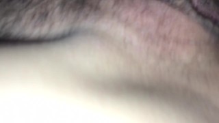 Pregnant slut 
