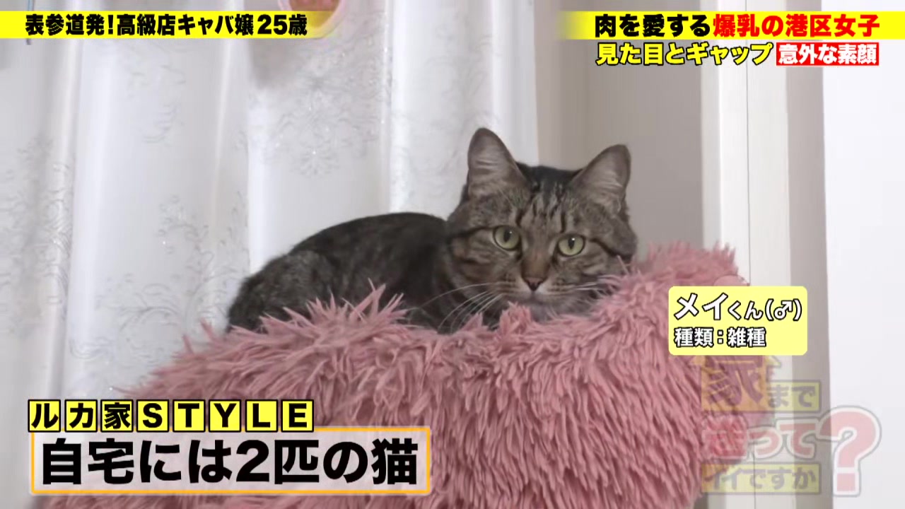 0012039_ムチムチ ボイン キスなどが含まれている