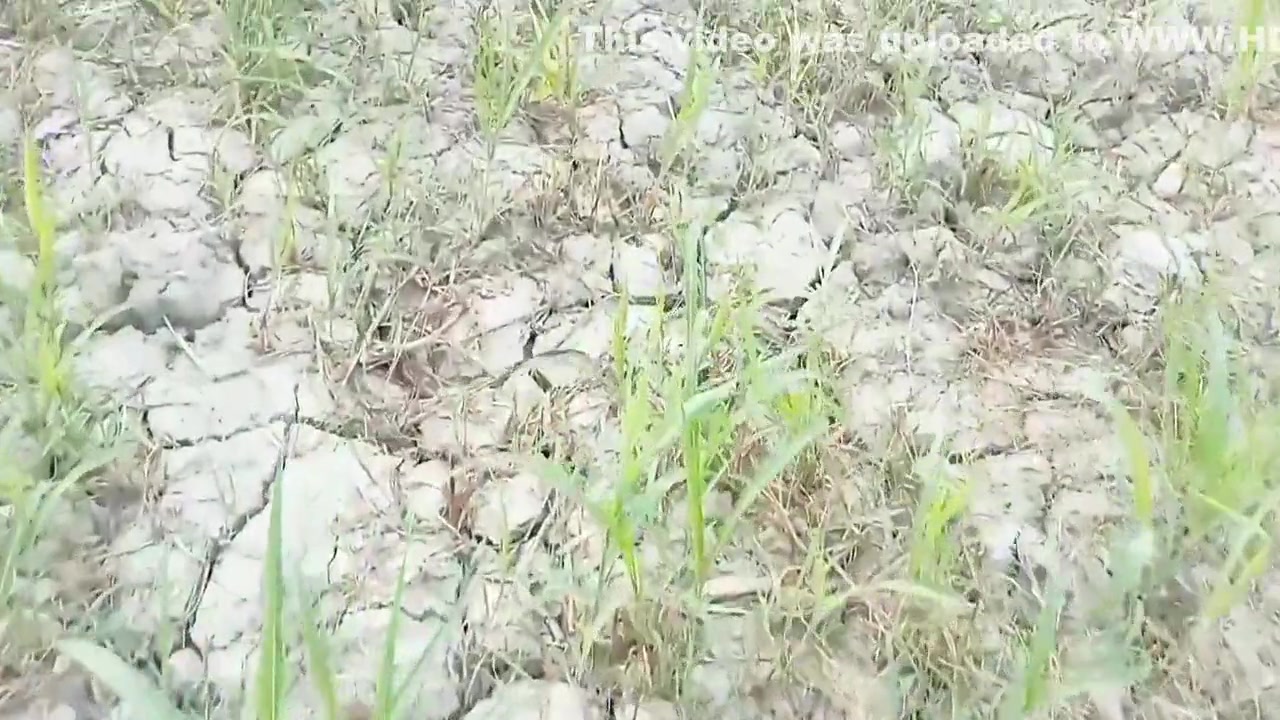 Qabristan Se Nkli Atma Ne Leya Apna Hesb Premi Se Apni Echa Pori Krwai