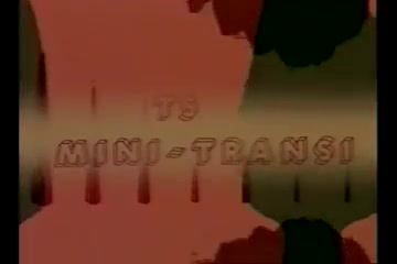 Flesh - ts mini-transi