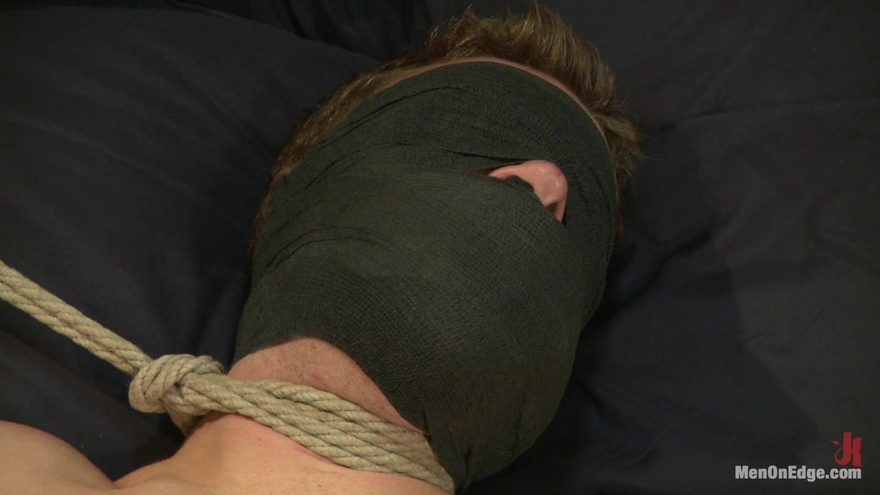 Jeremy Stevens and The Perverted Underwear Thieves Two