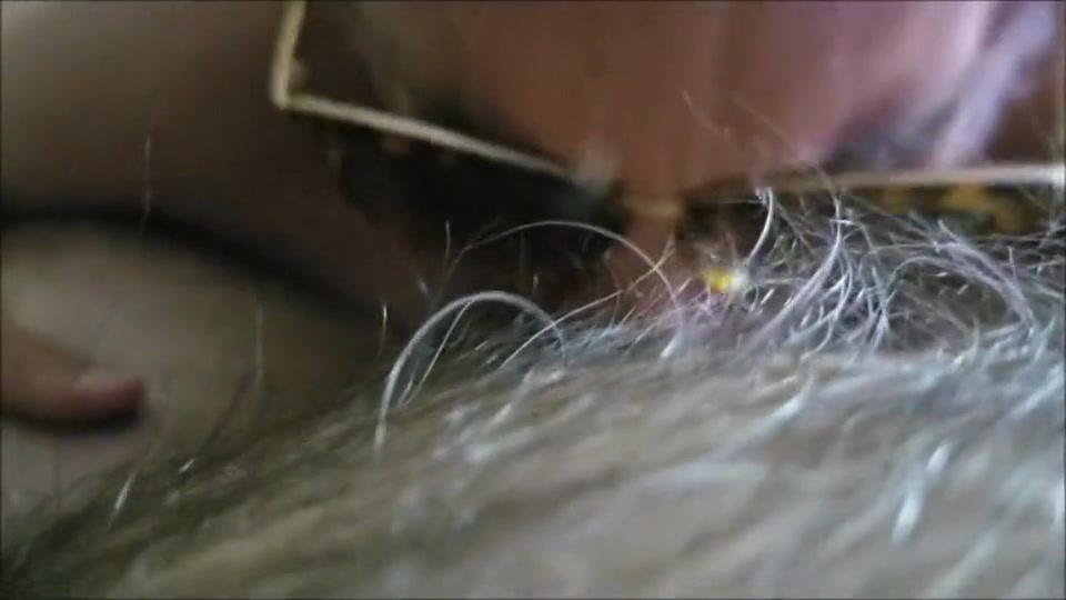 Trudy Sucks Off Her Bear Boyfriend And Swallows His Cum