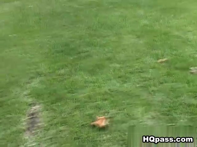 Josh & Giselle in Amusement pussy Movie