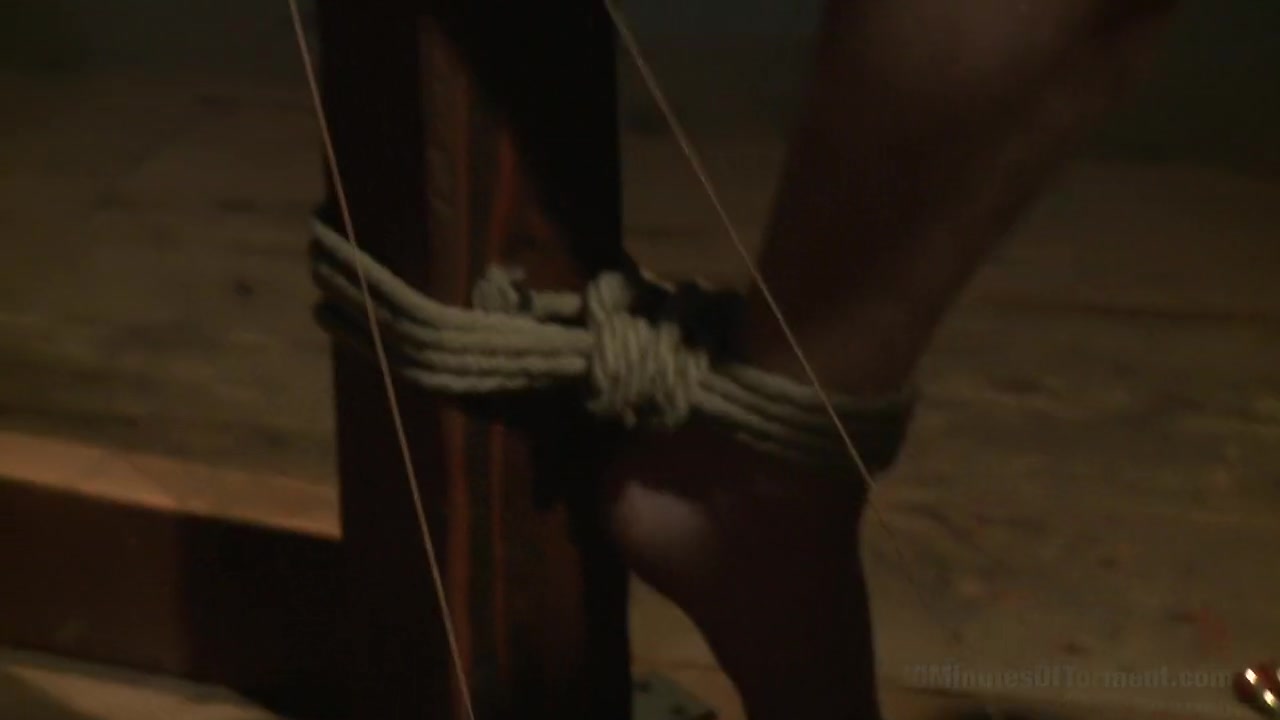 Cock and Hole Torment