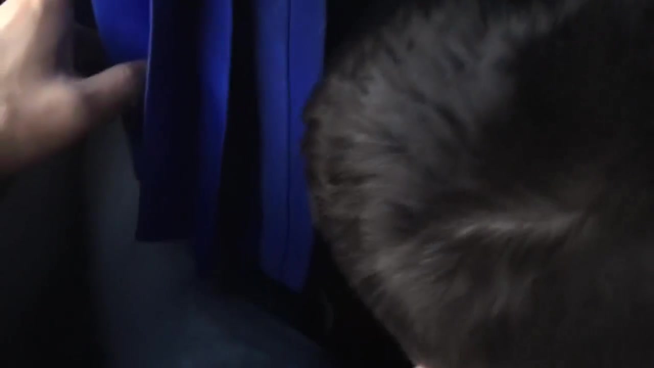 Rough Blowjob In The Bus Big Cumshot !!