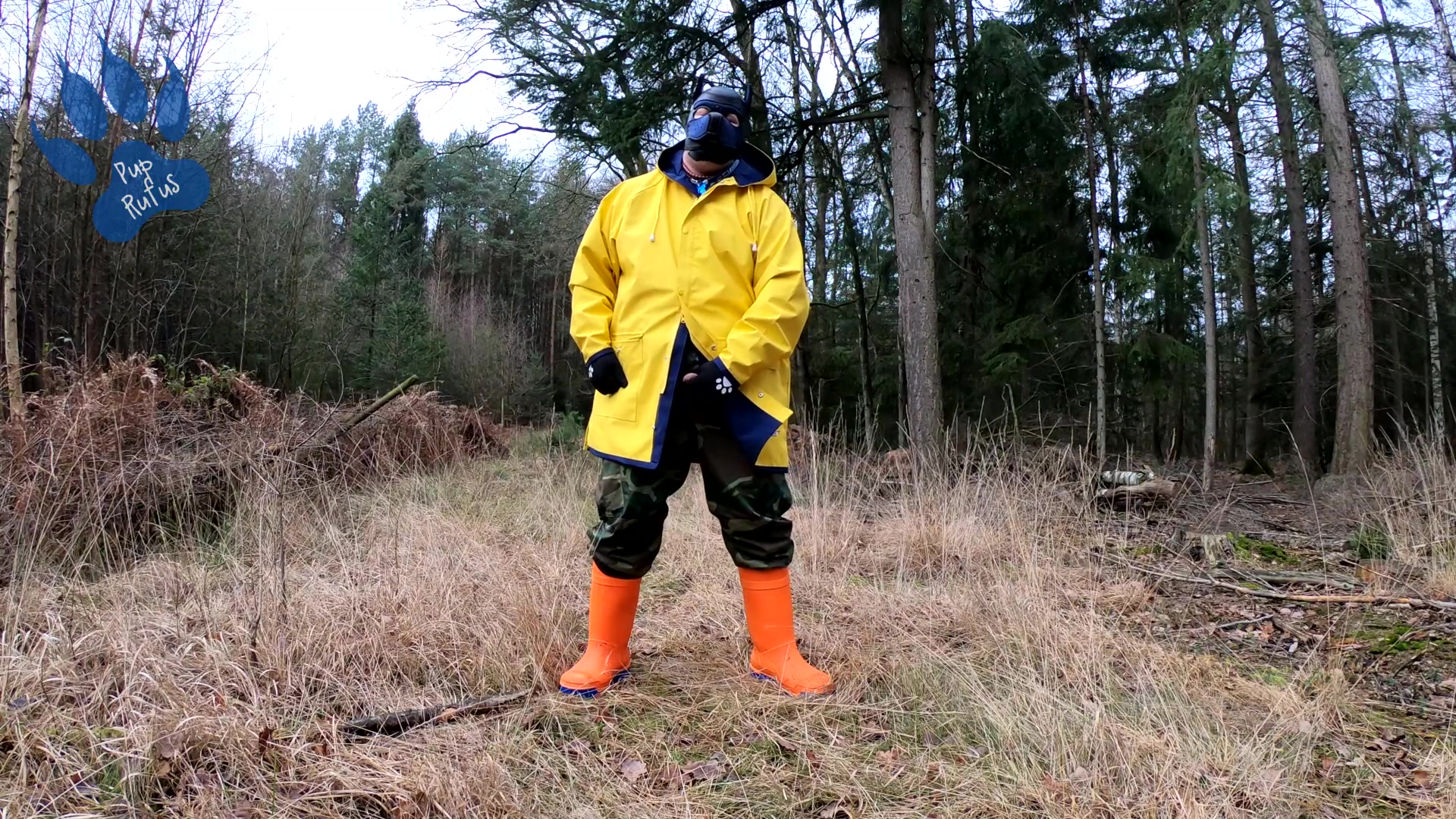 Raingear Pup Wanking Outdoors During Sunday Walkies nearly Got Caught