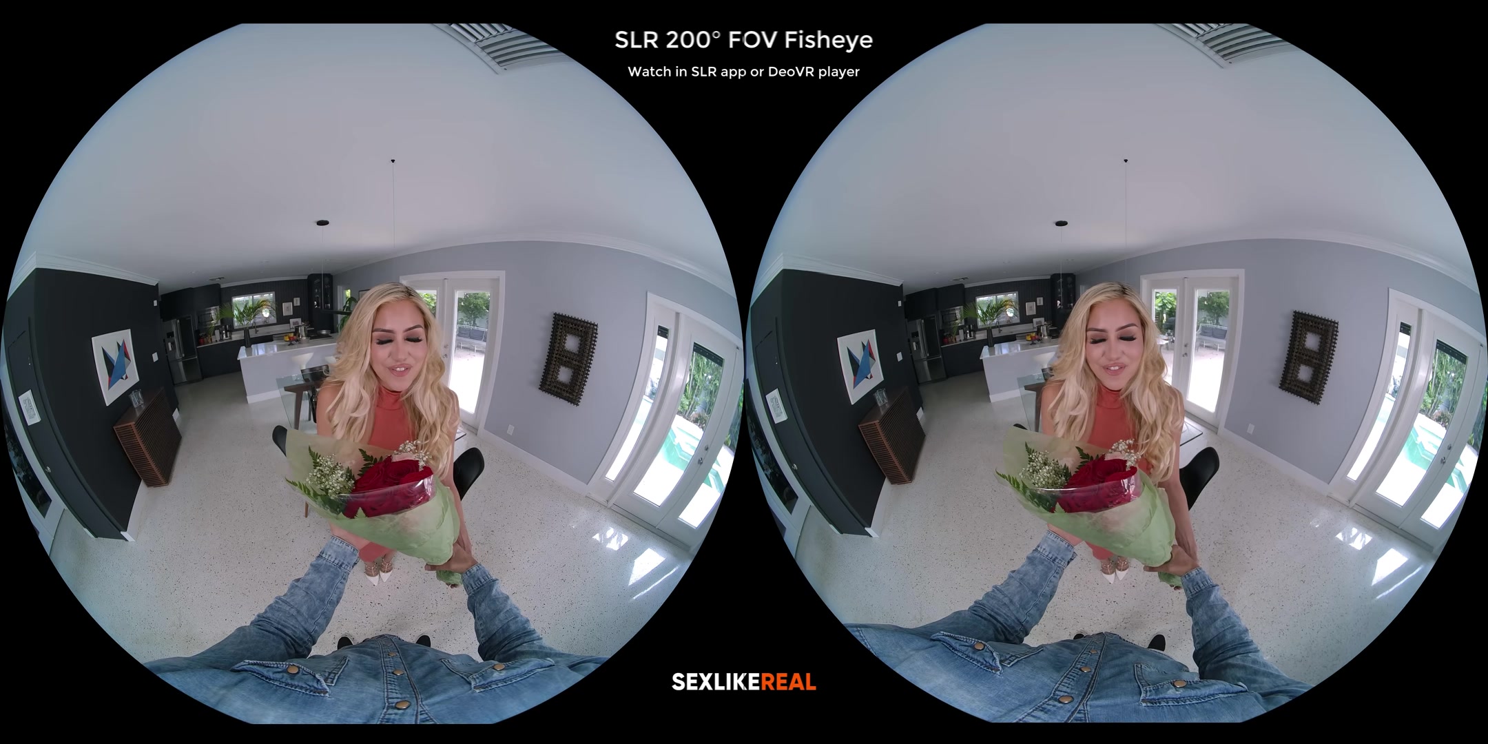 Anniversary Surprise - SLROriginals