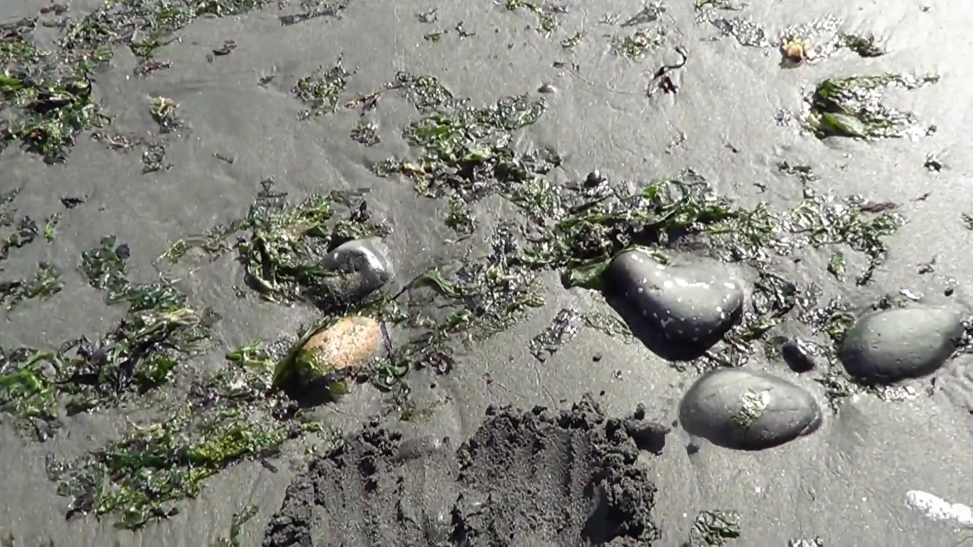 Dirty Sandy Beech Feet - TacAmateurs