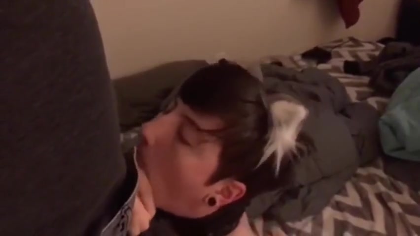 Collared & Throat Stuffed Ftm Kitten