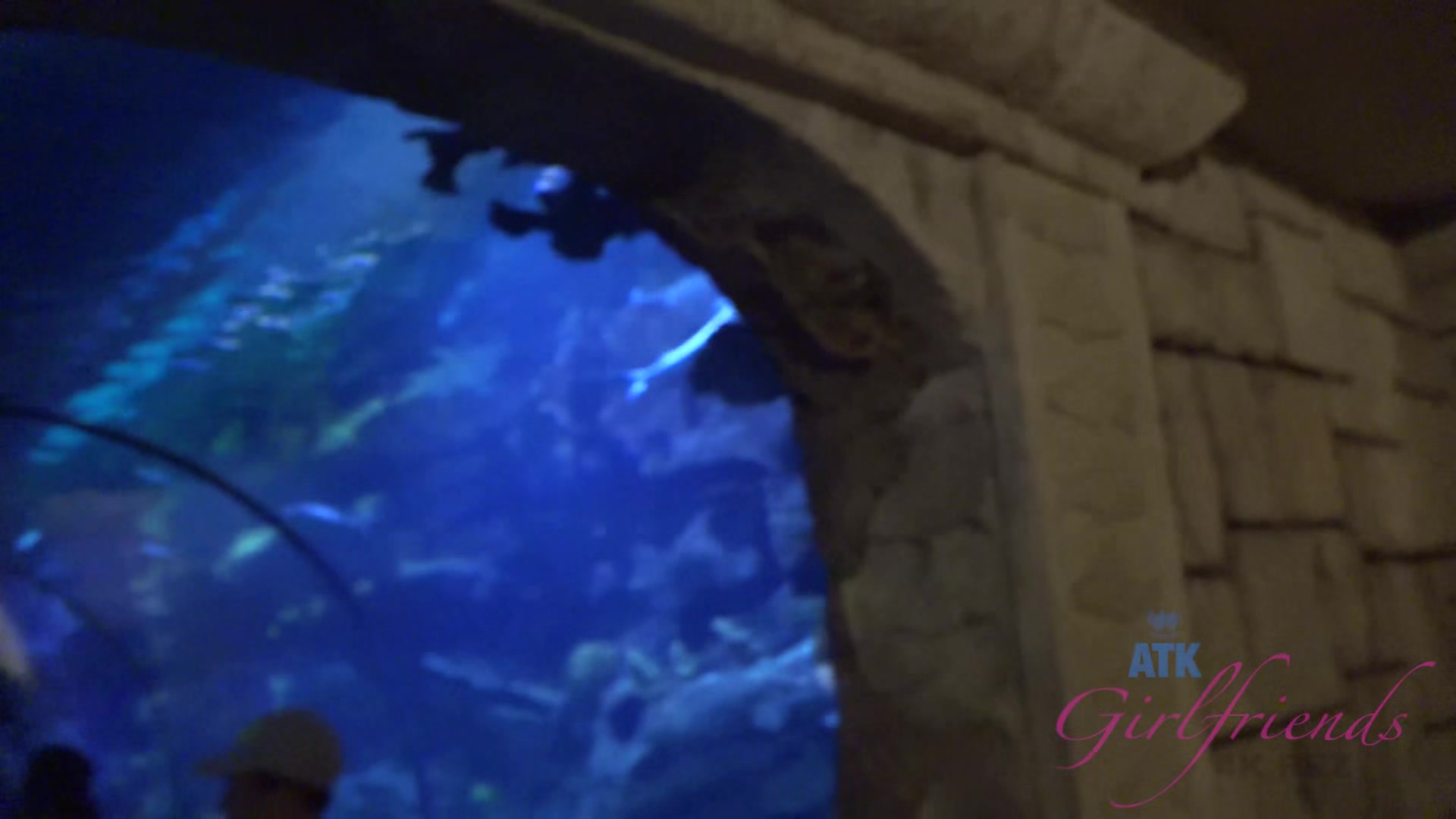 Virtual Vacation In Las Vegas With Trisha Parks Part 1