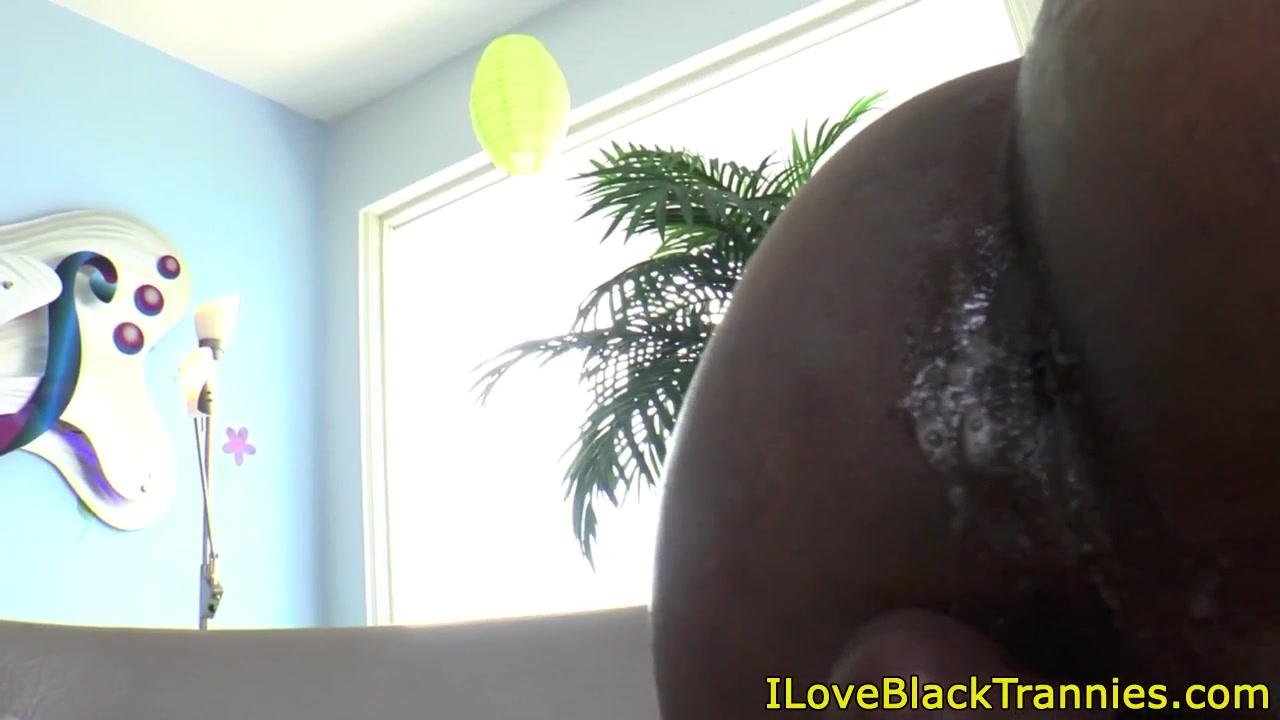Black shemale sucked by white transexual