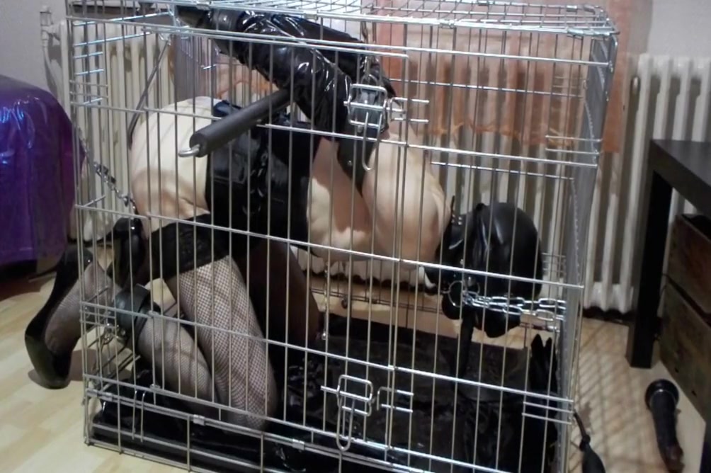 Ana Lya In Comfortable Kennel For