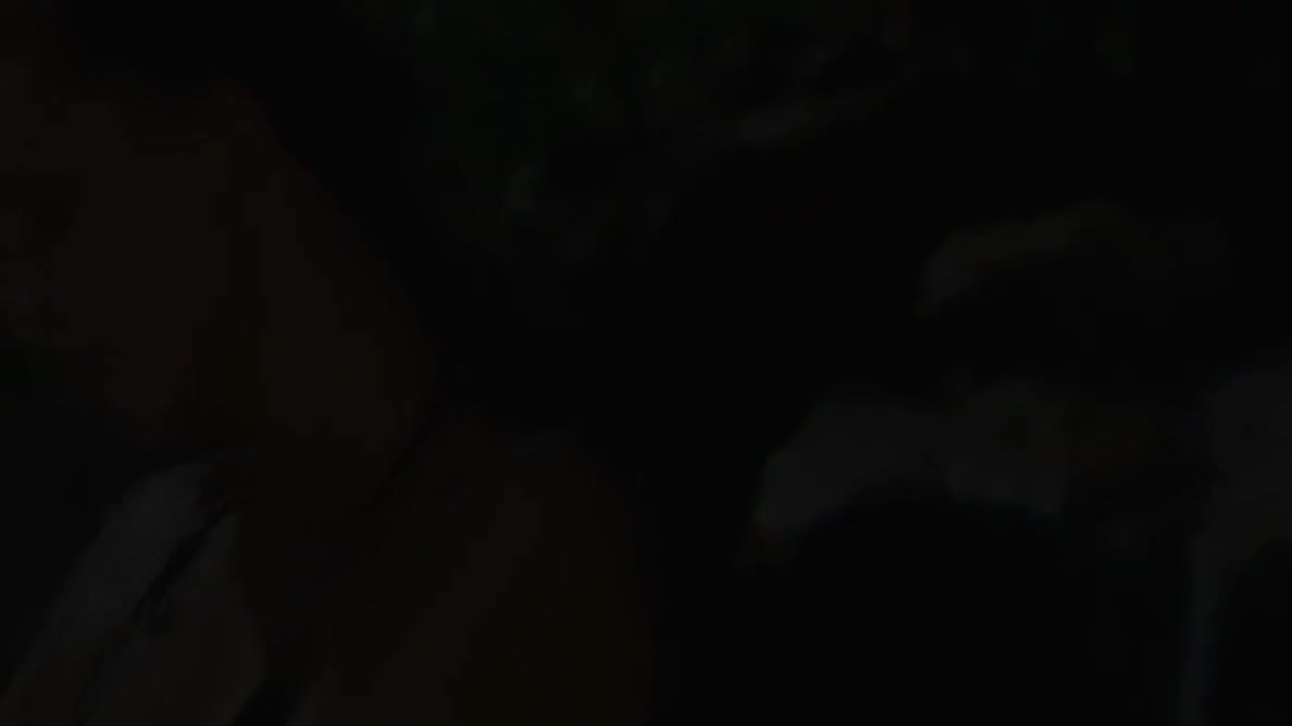2012 Flexible Beauty Mira19 10 2012