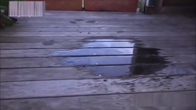 jjpiss (4)