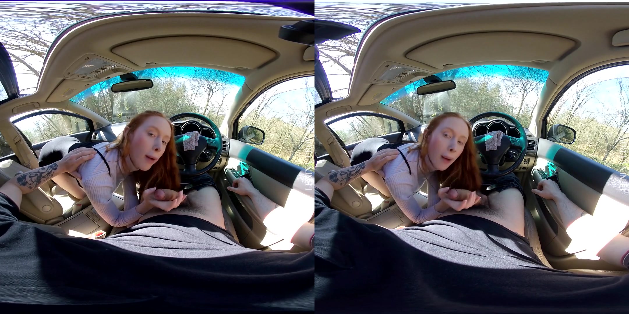 Sucking Dick on a Sunday Drive