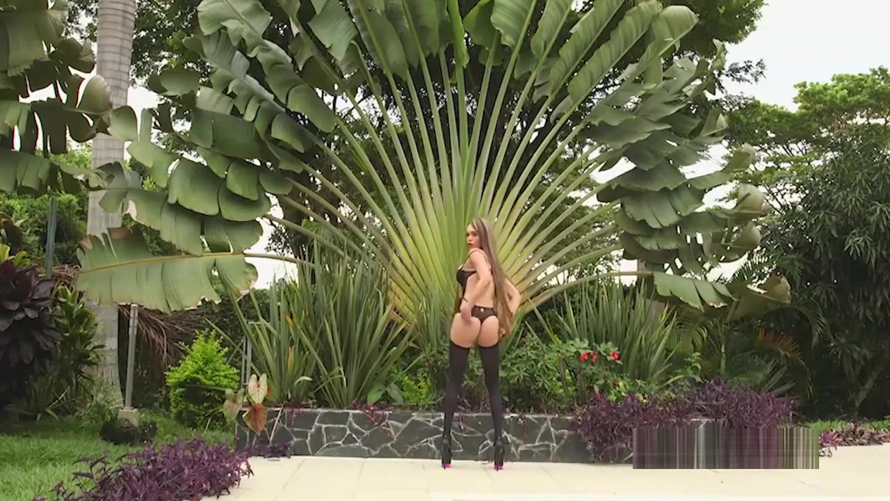 Shemale beauty gangbanged hard