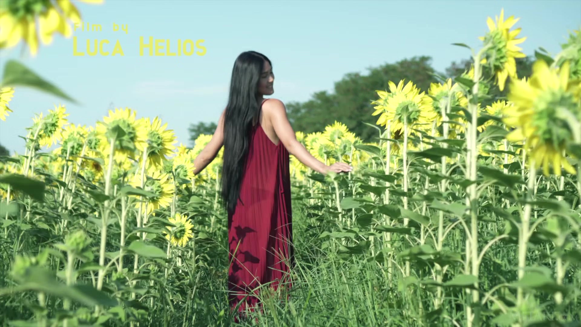 Sunflower - Kimiko - Met-Art
