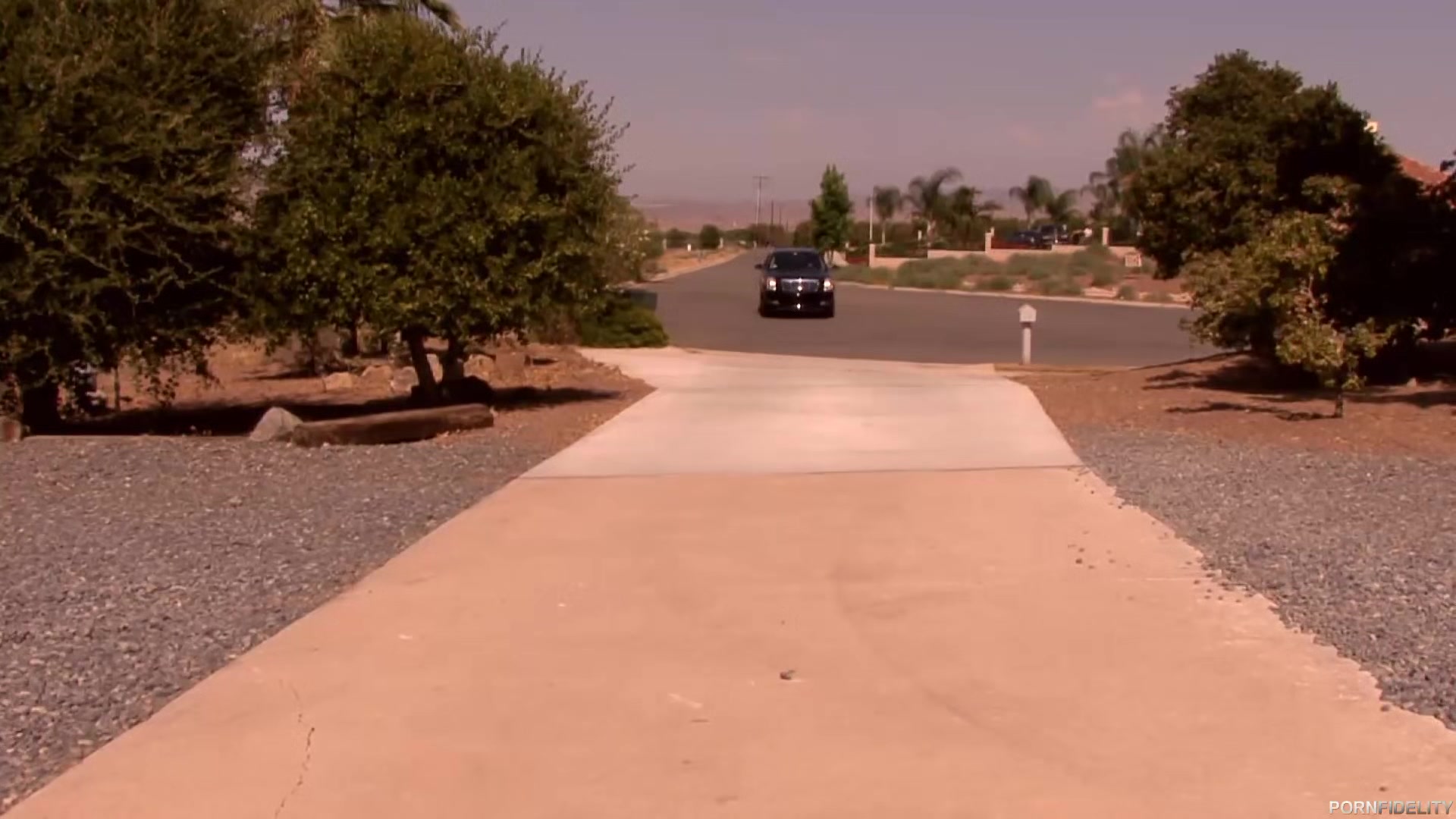 Whooty On Wheels - Starring: Amy Brooke - PornFidelity