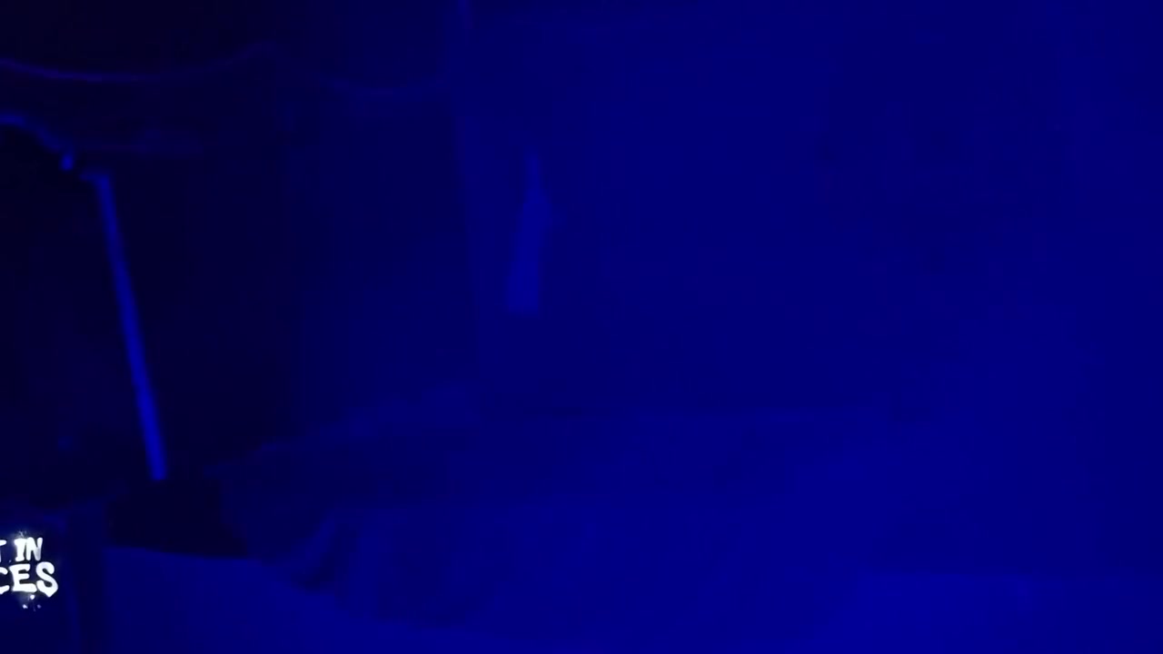 Trans Vamp