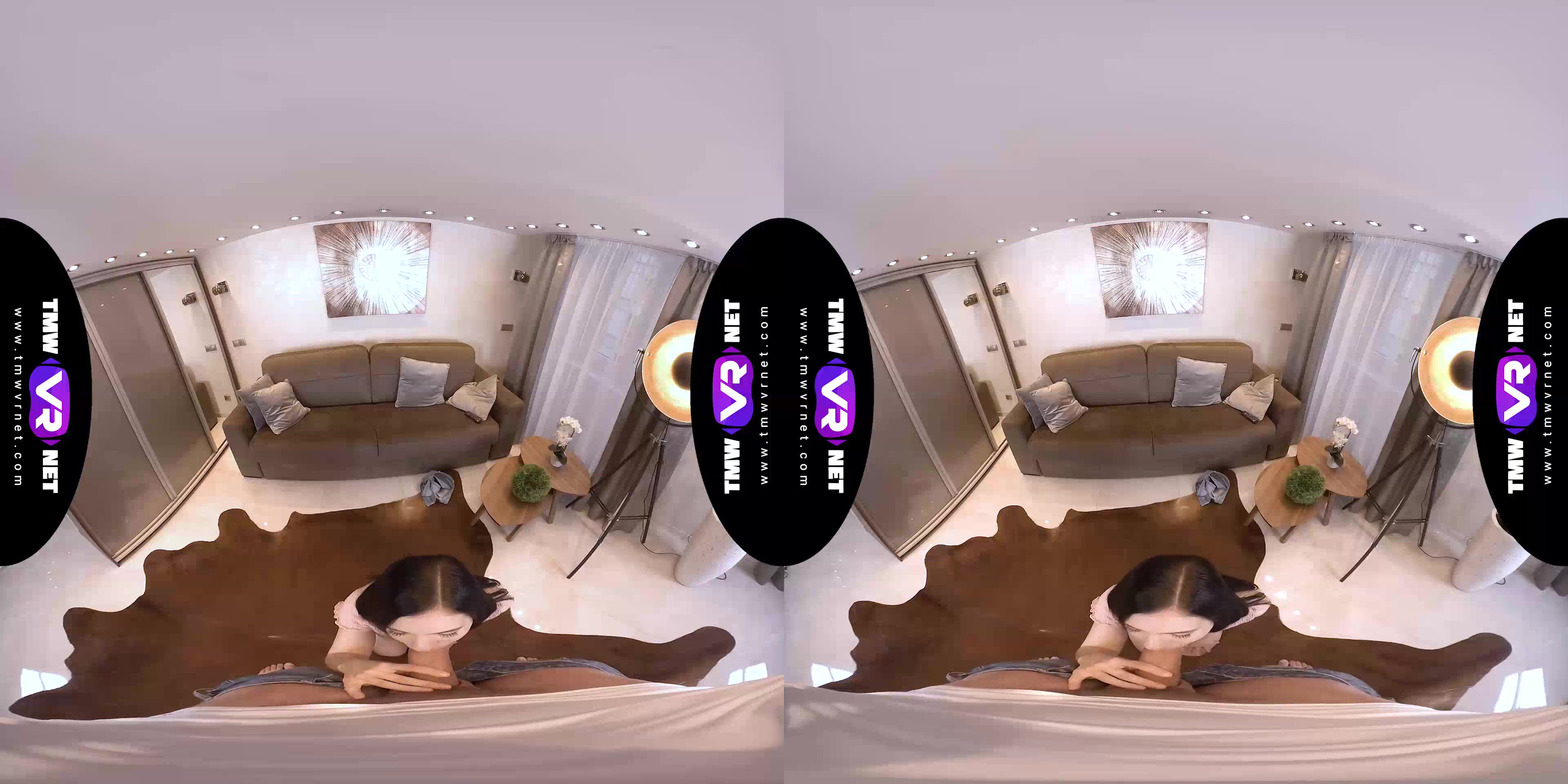 Roommates become lovers on couch