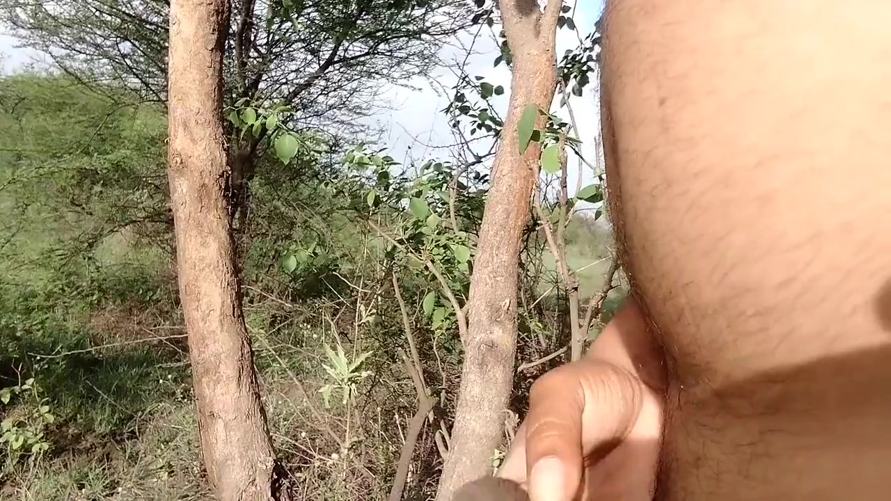 In The Forest The Boy Shakes His Cock While Sitting In A Bare Tree Then He Fulfills His Desire By Getting Her Bra And Dildo