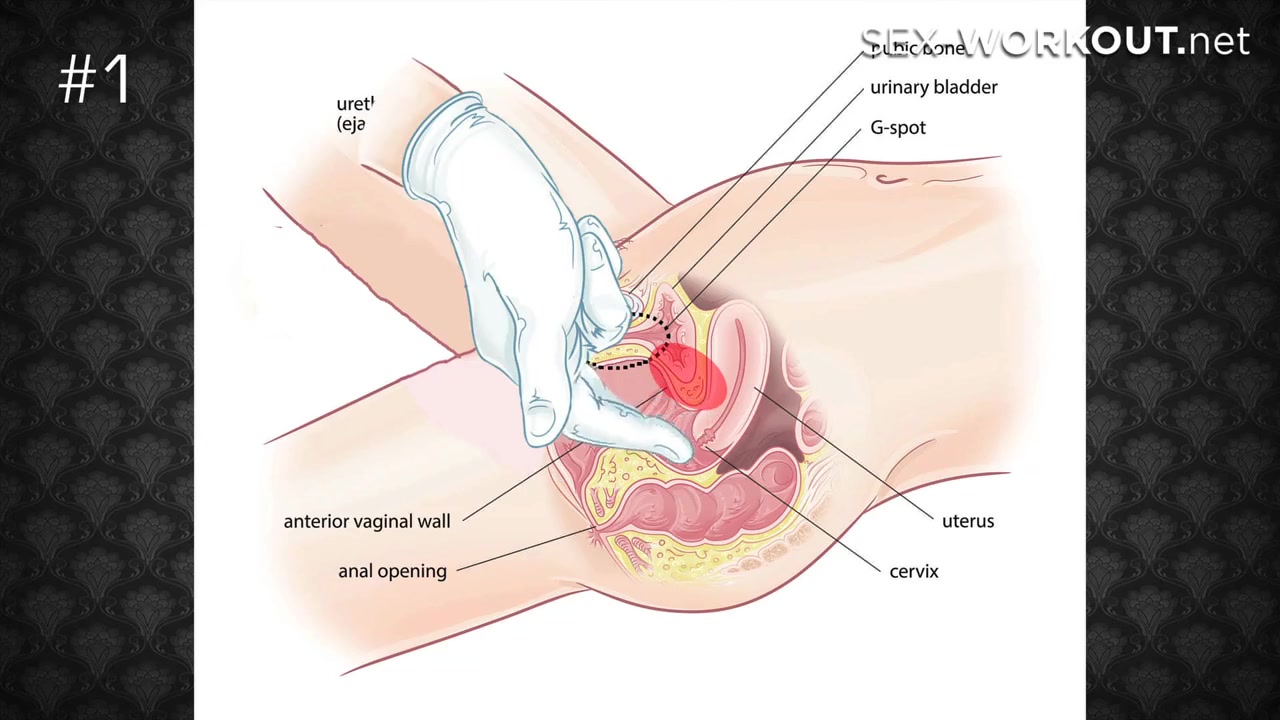 Anal stimulation massage
