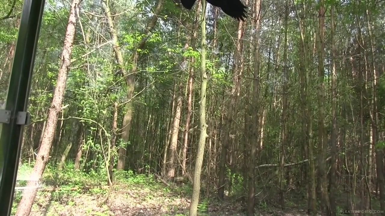 Public Adventure Of Maria - Katrin Porto And Maria Braun