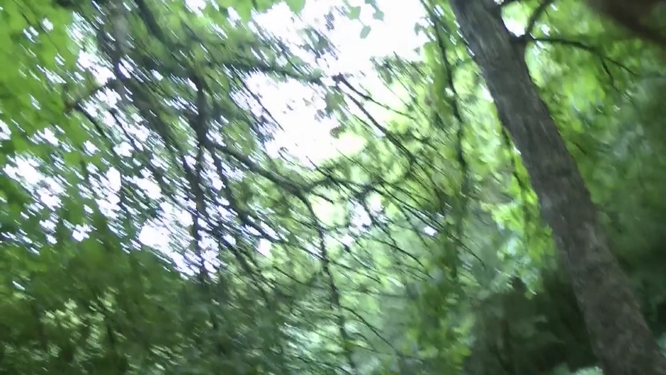 Beautiful gal enjoys wild hardcore sex in nature