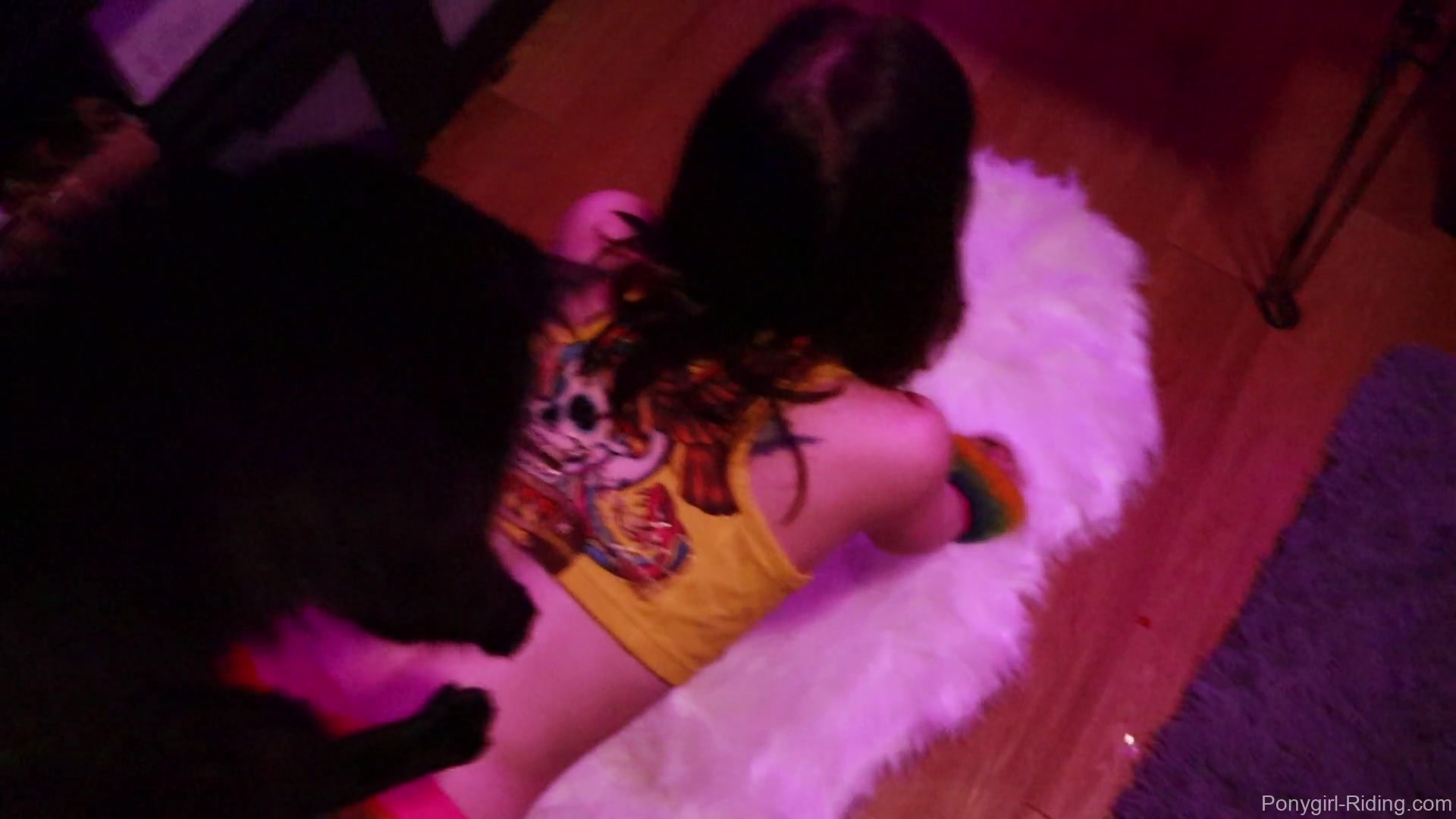 My Little Ponygirl 2 - Sex Movies Featuring Edward Black