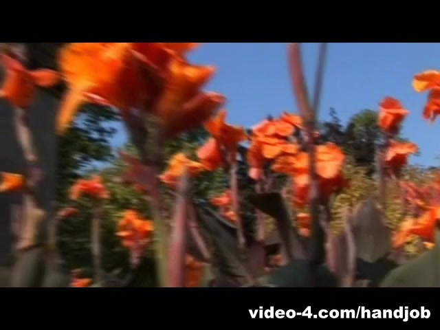 ExcellentHandjobs Scene: Zafira