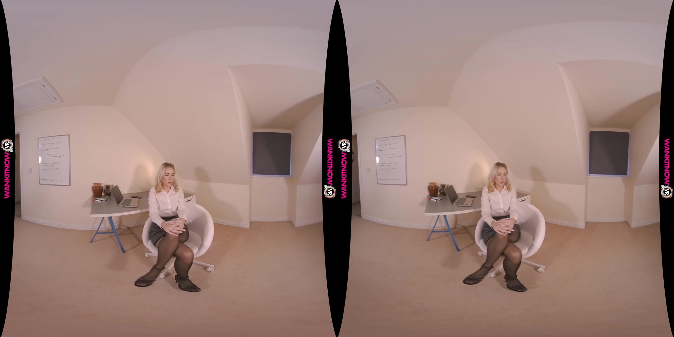 Payraise Persuasion - WankitnowVR