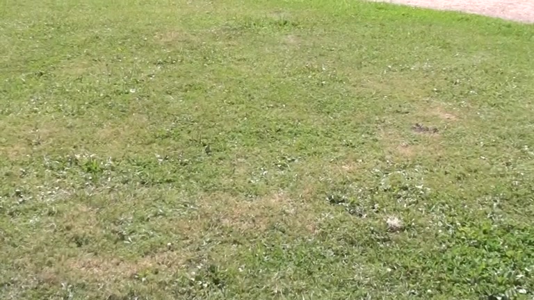 Love pair sex with engulf, fuck and explosion in the car
