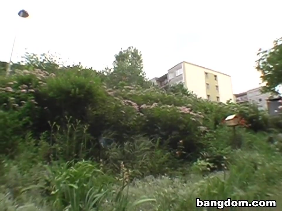 Garden of Sin