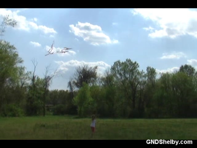 Kite Flying - GNDShelby