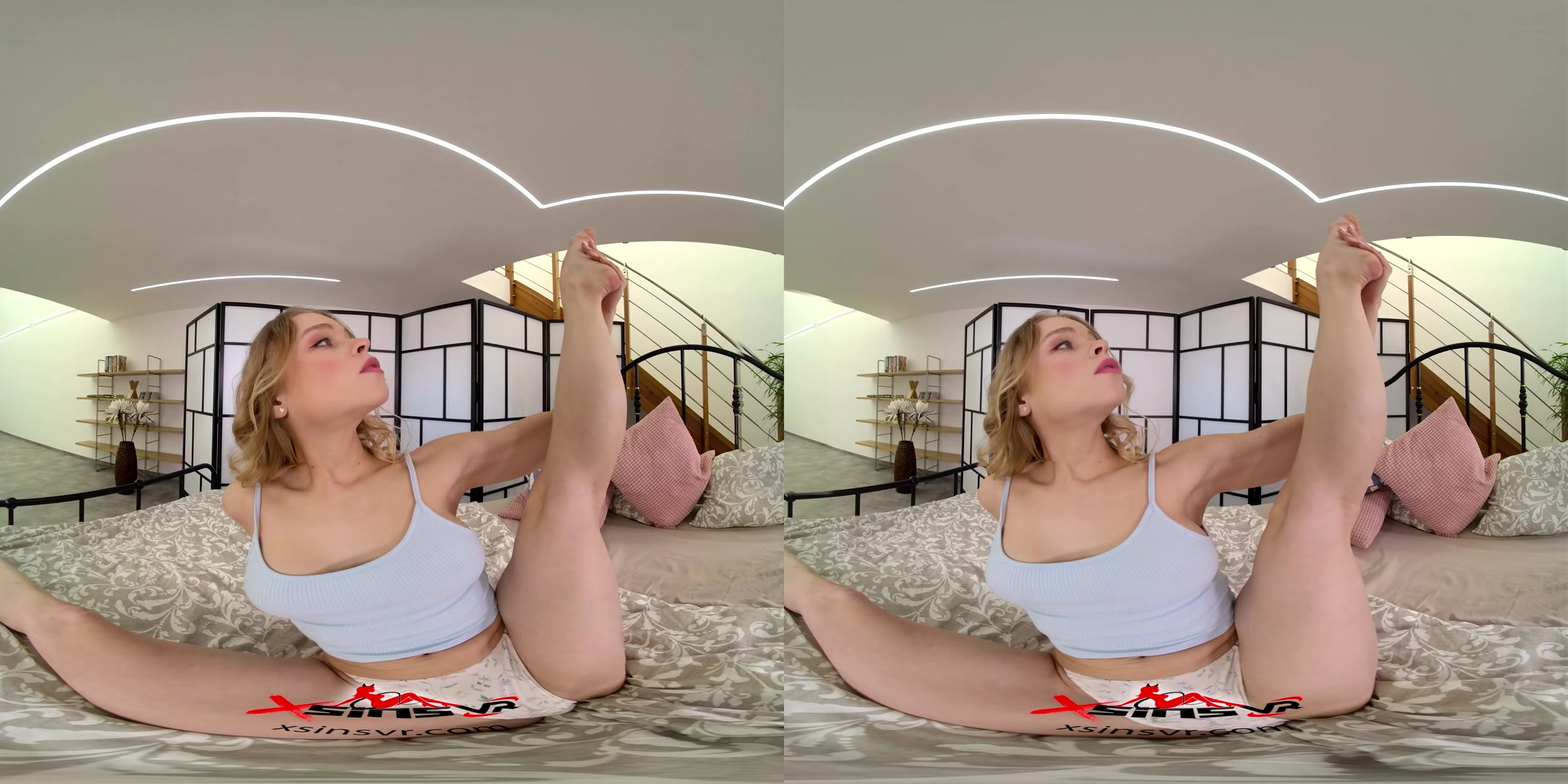 Flexible - SinsVR